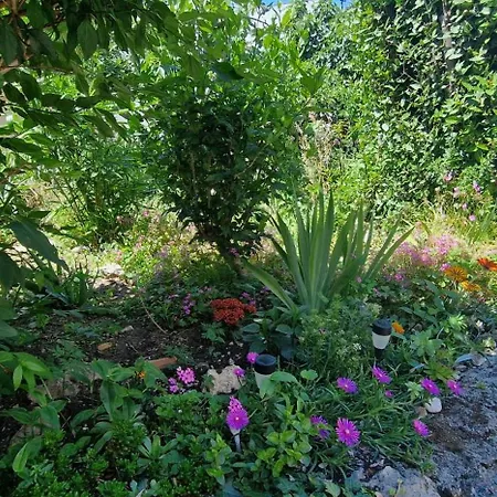 Mateo 2 Mit Meeresblick Und Mateo 1 Mit Gartenblick Apartman Selce